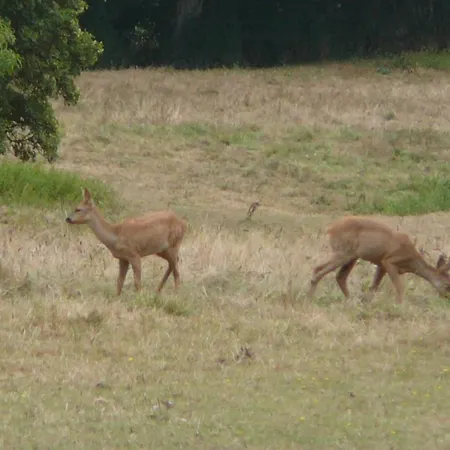 בית נופש Charme Authentique A Bonnevent Avec Vue Et Calme - Fr-1-497-81