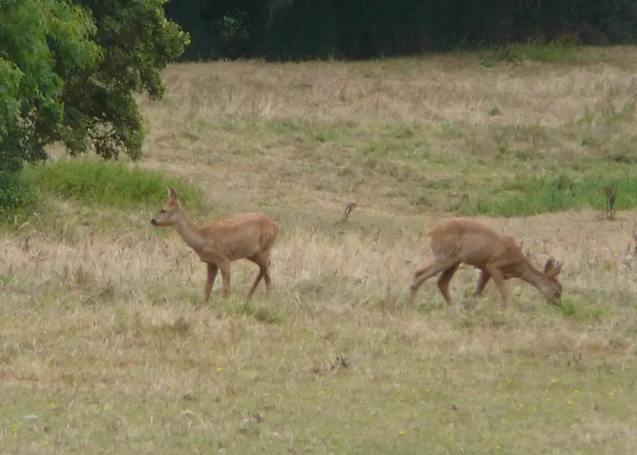 Dom wakacyjny Charme Authentique A Bonnevent Avec Vue Et Calme - Fr-1-497-81